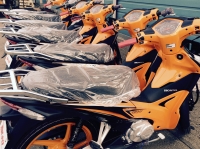 ※ 플림110 입고