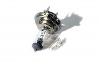 라이트전구(D36)