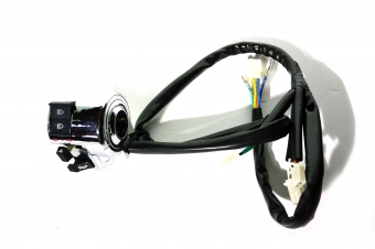 핸들스위치 L(L13)